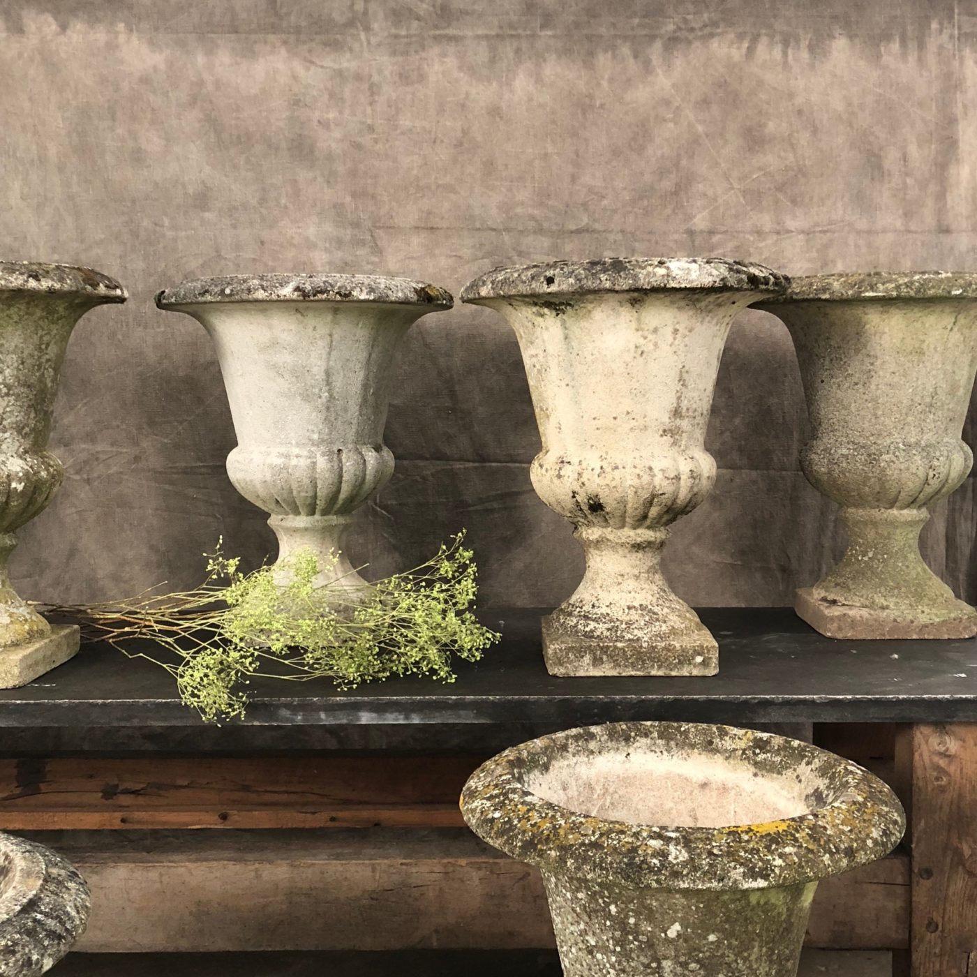 medicis-planters-collection0002