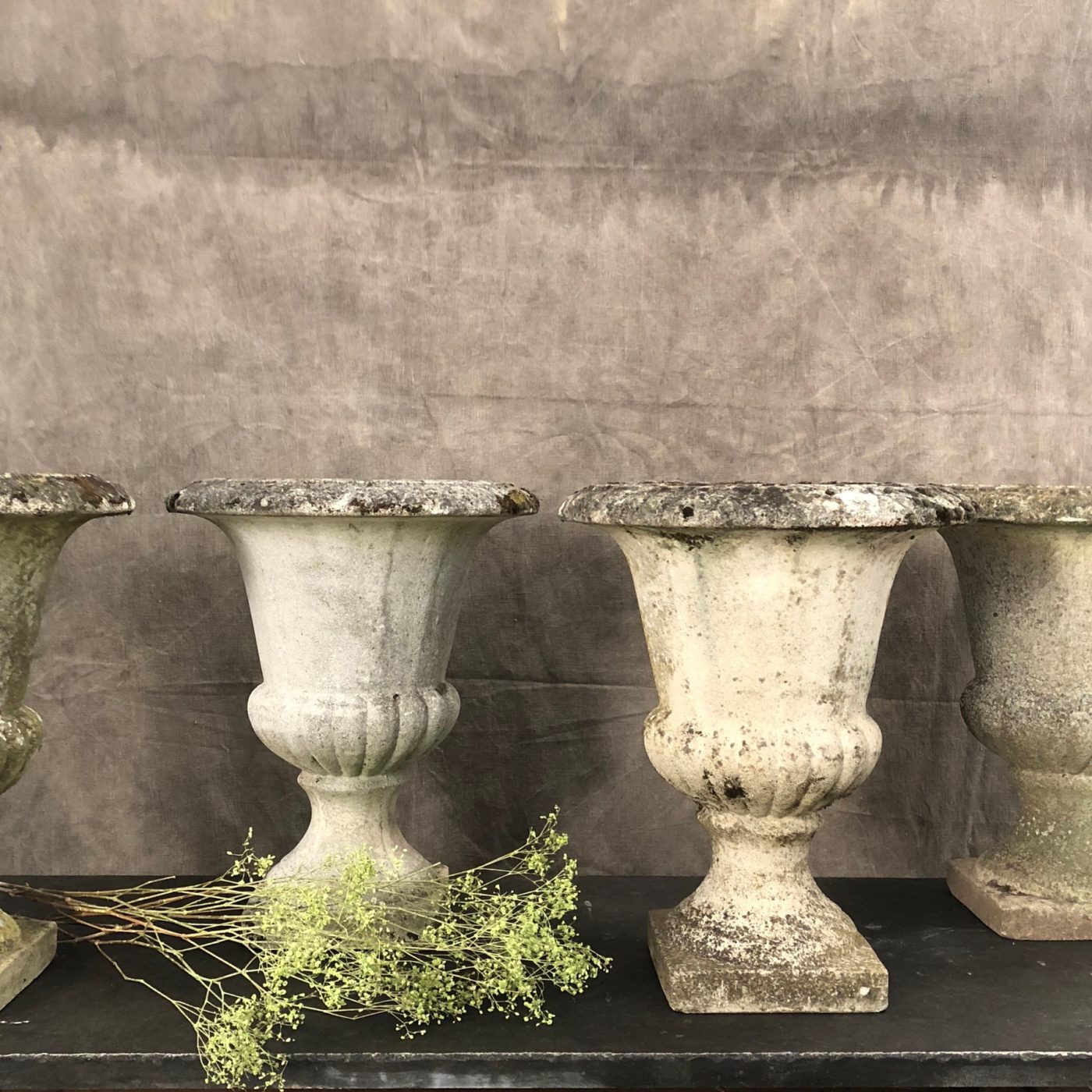 medicis-planters-collection0006