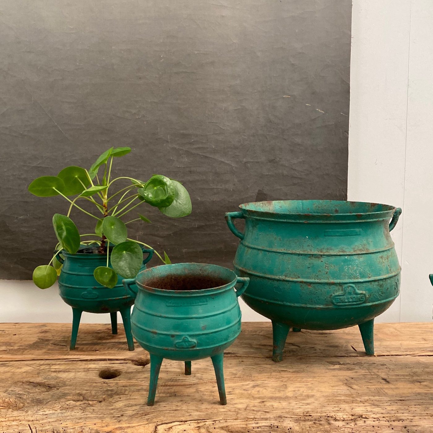 cast-iron-pots0001