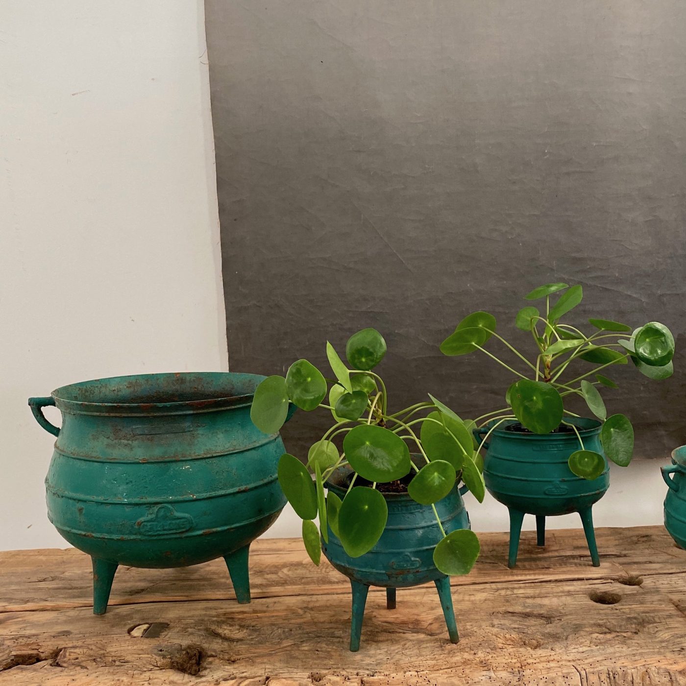 cast-iron-pots0002