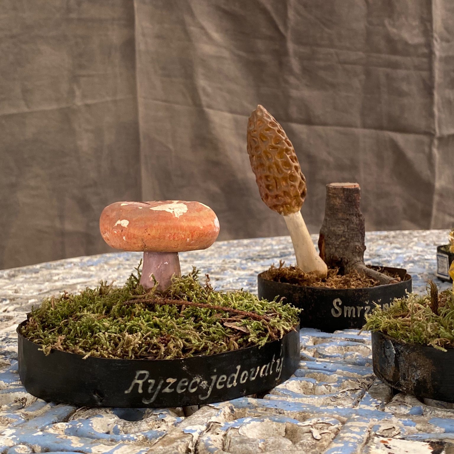 plaster mushroom collection – Objet Vagabond