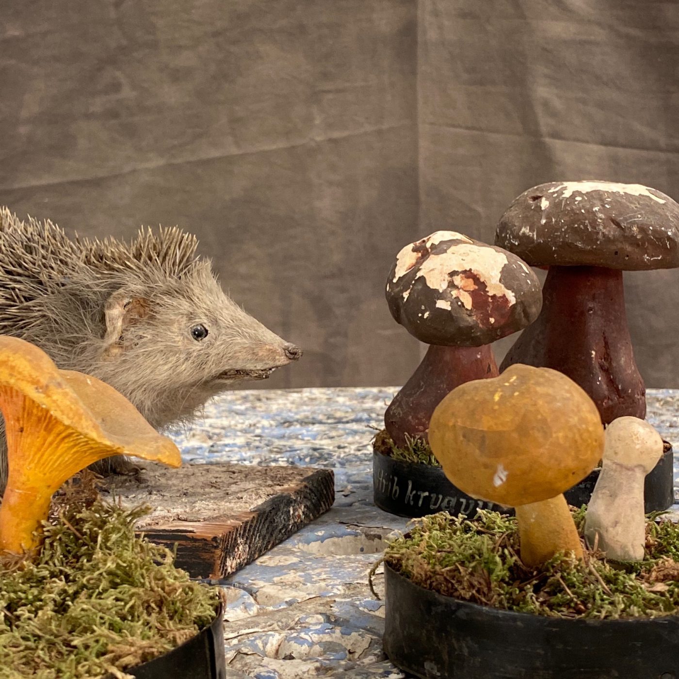 plaster-mushroom-collection0006