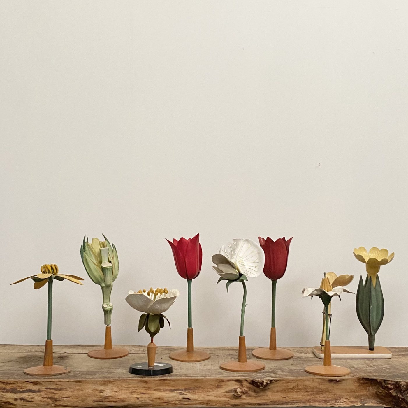 objet-vagabond-didactique-flowers0005