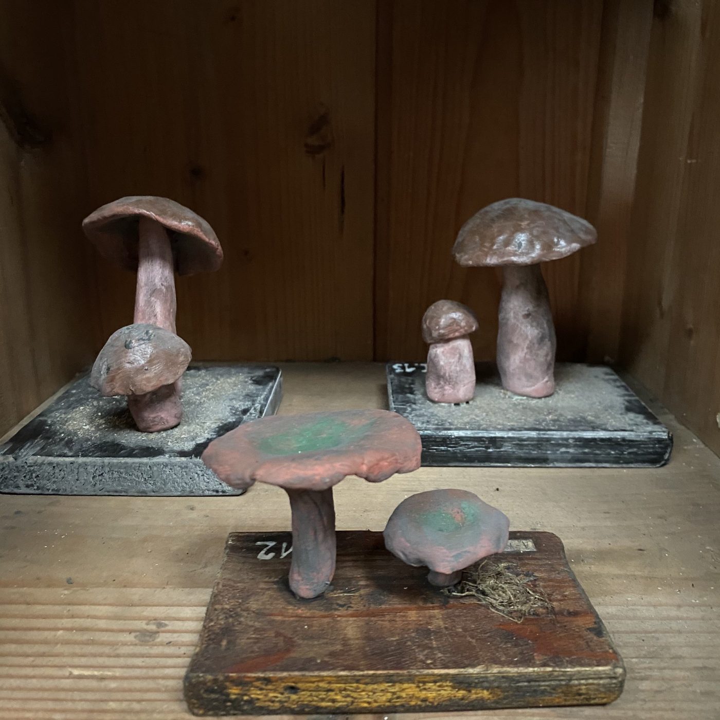 objet-vagabond-plaster-mushrooms0000