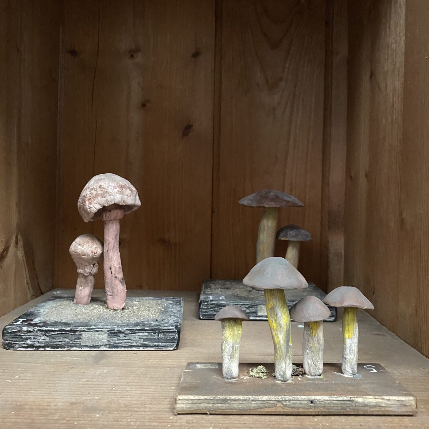 objet-vagabond-plaster-mushrooms0001