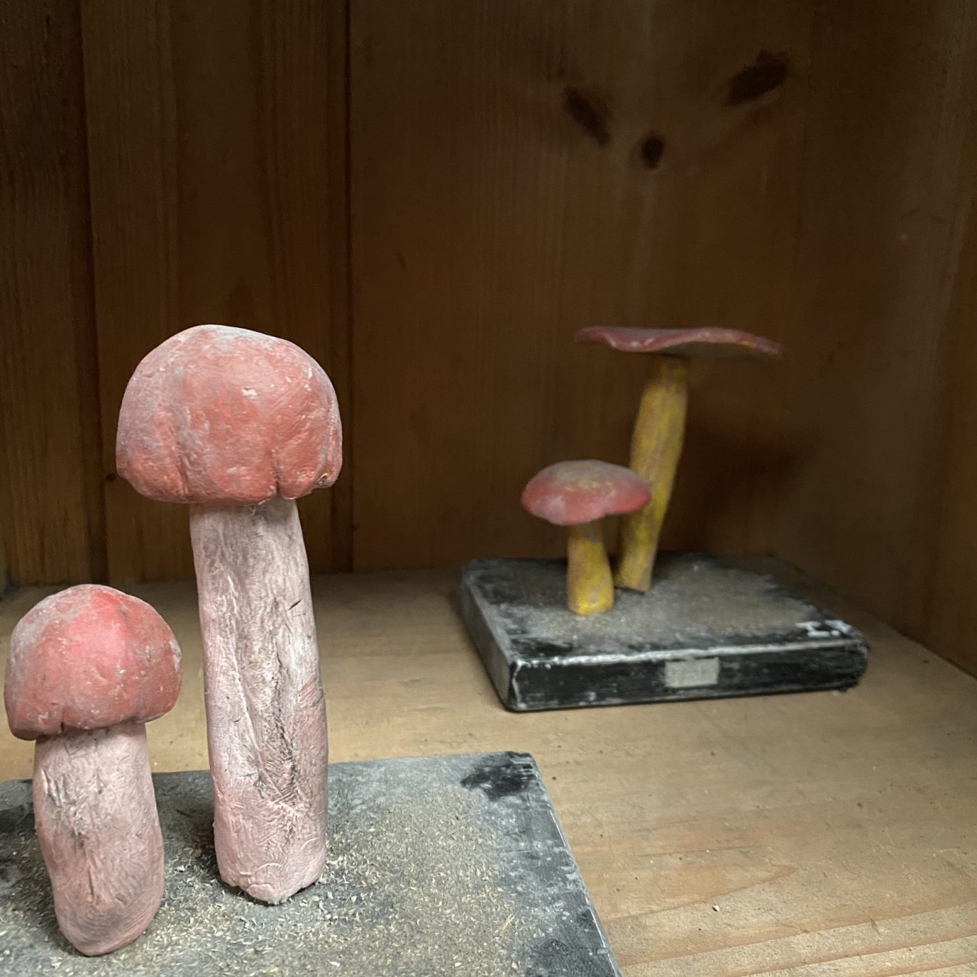 objet-vagabond-plaster-mushrooms0002