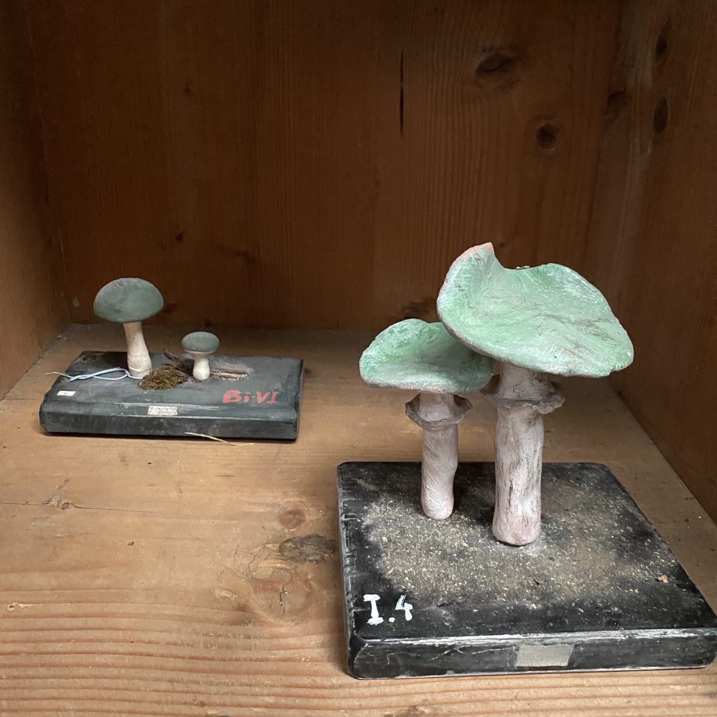 objet-vagabond-plaster-mushrooms0003