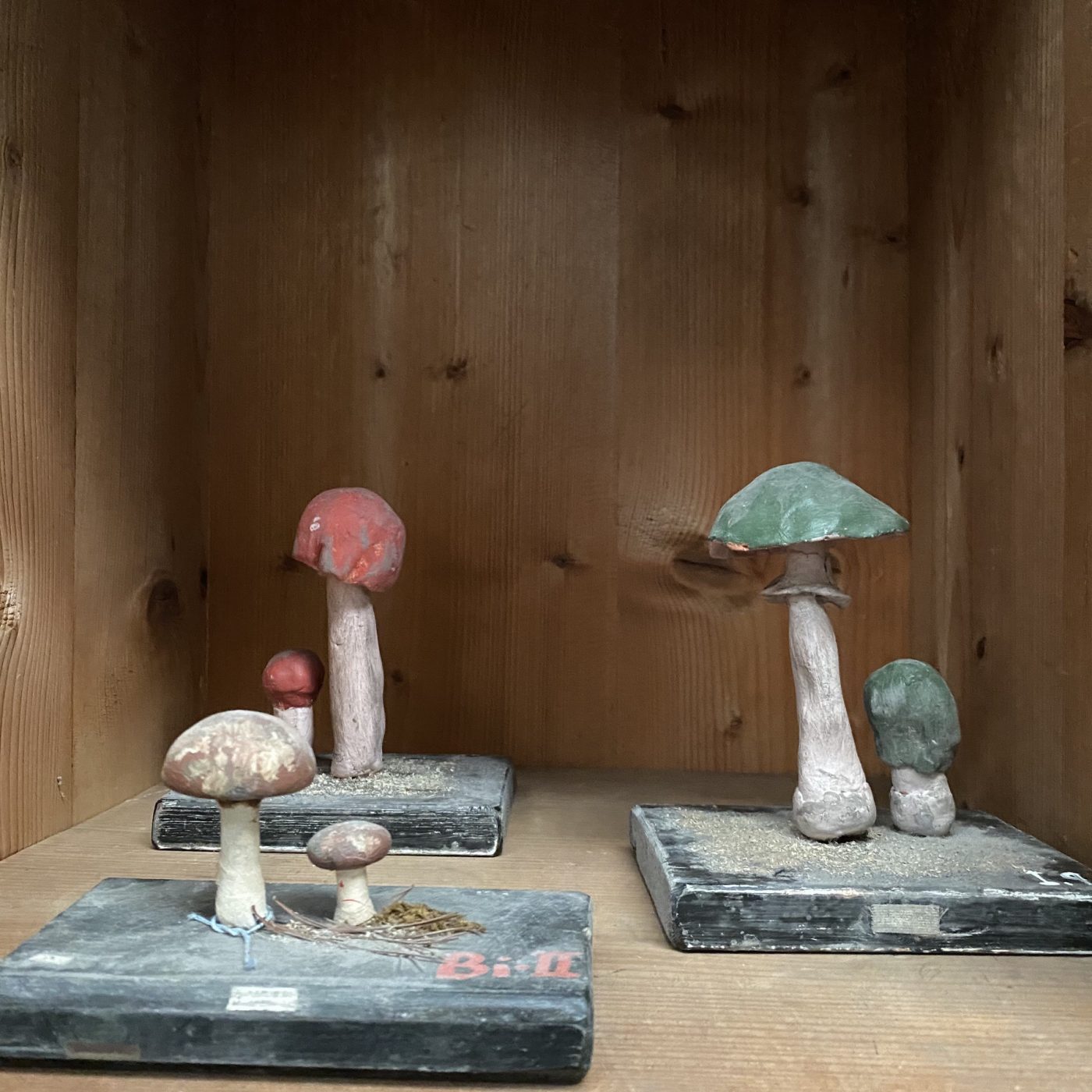 objet-vagabond-plaster-mushrooms0006