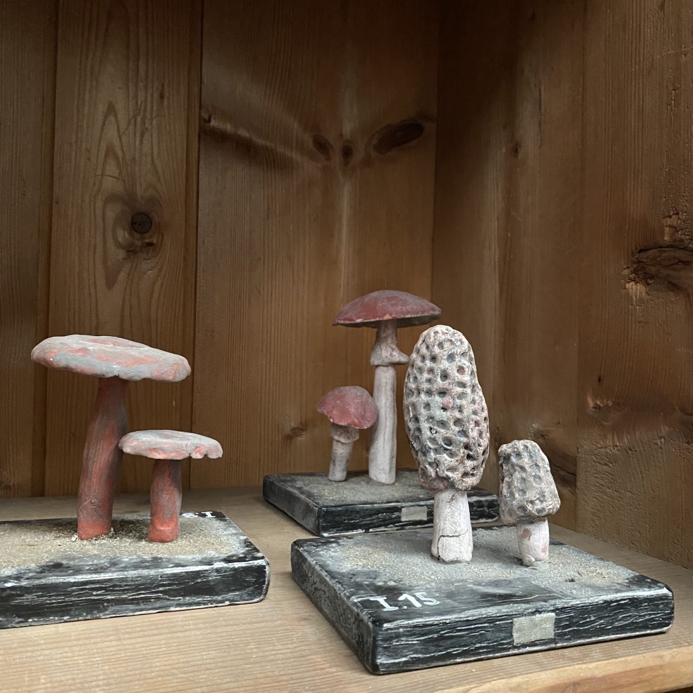 objet-vagabond-plaster-mushrooms0007