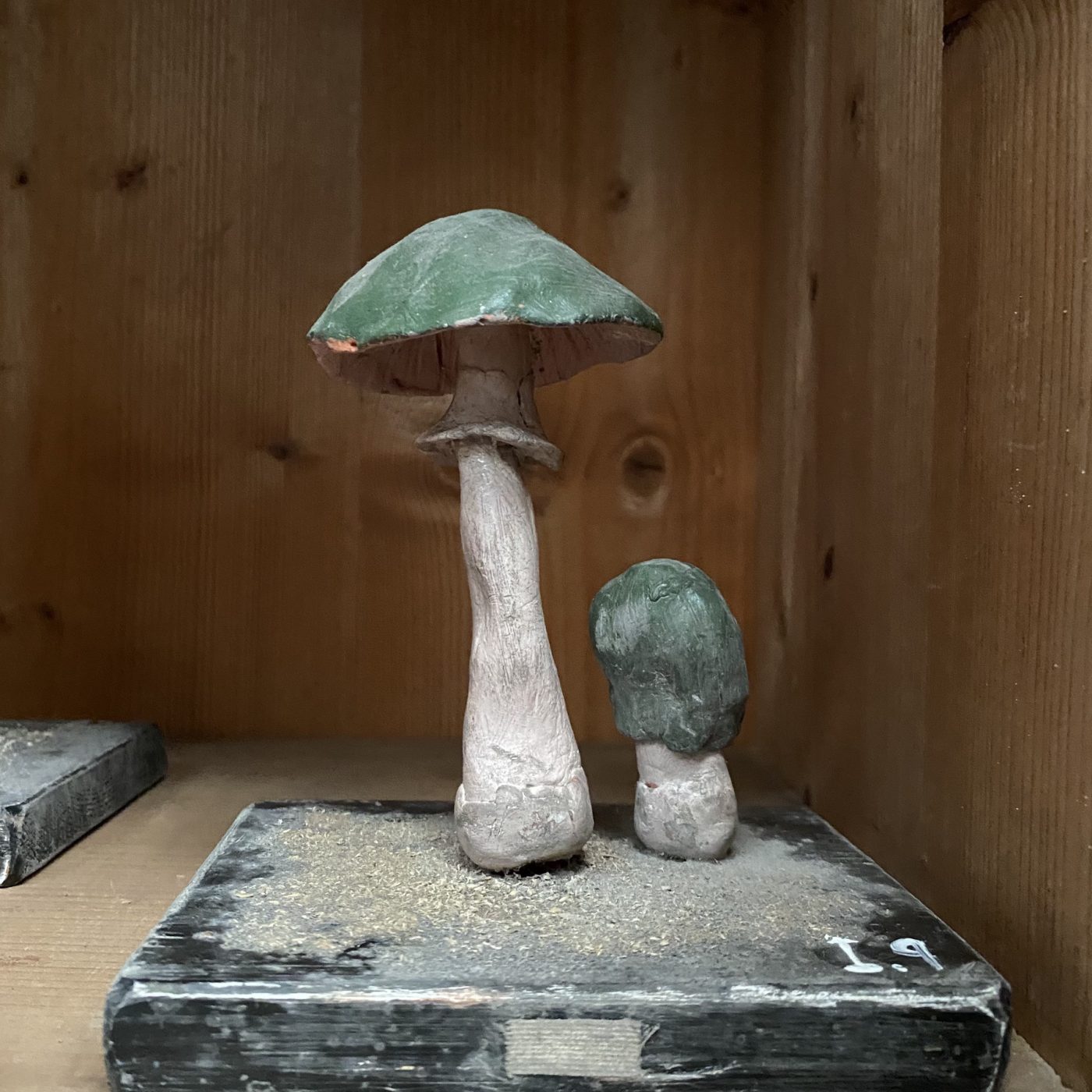 objet-vagabond-plaster-mushrooms0008