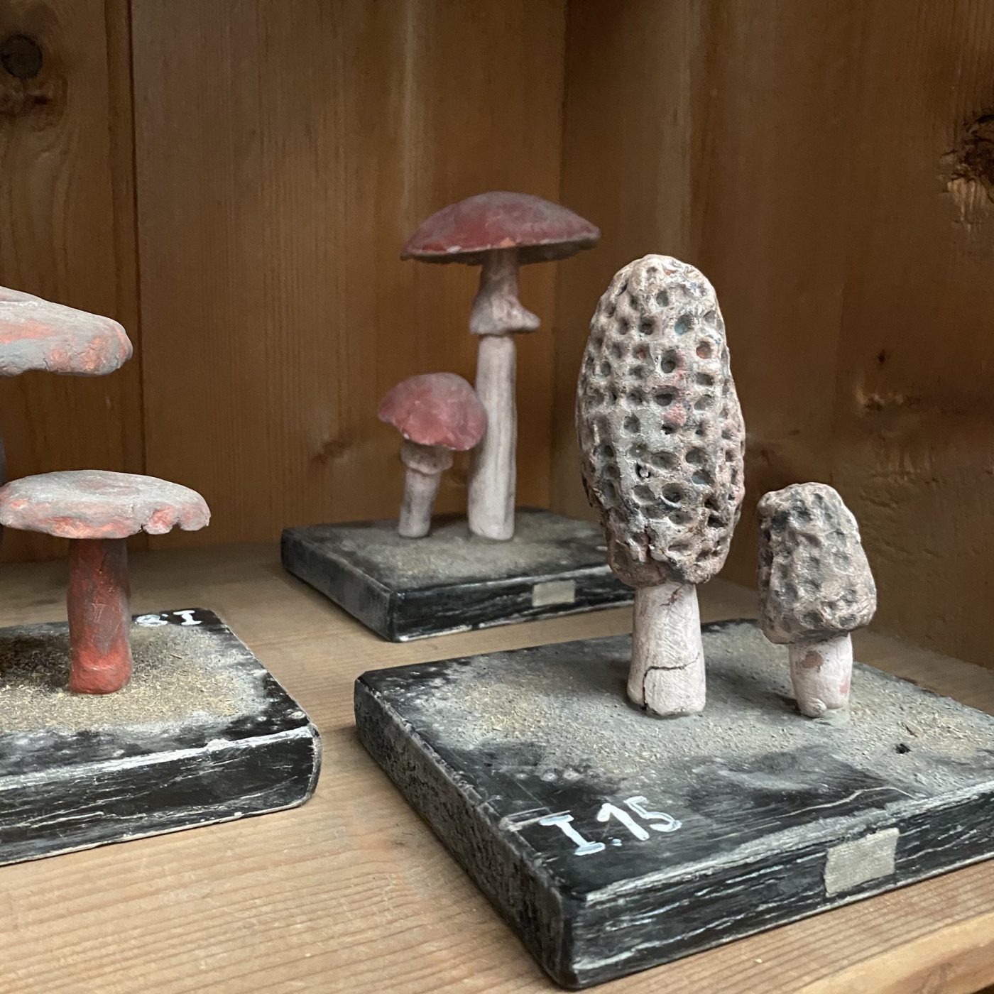 objet-vagabond-plaster-mushrooms0009