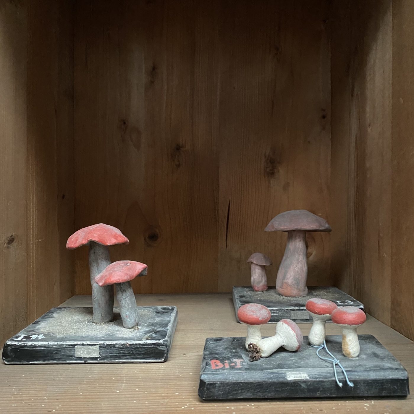 objet-vagabond-plaster-mushrooms0013