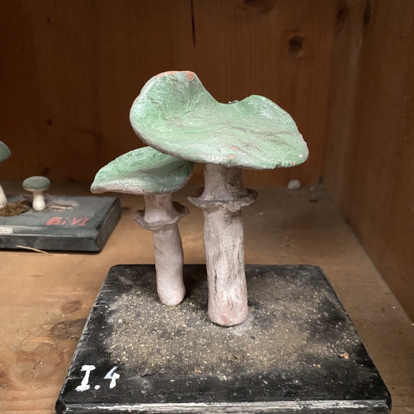 objet-vagabond-plaster-mushrooms0014