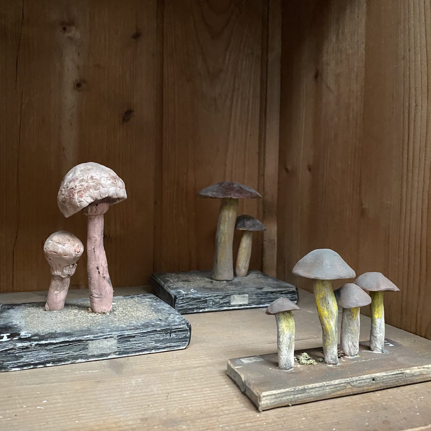 objet-vagabond-plaster-mushrooms0015