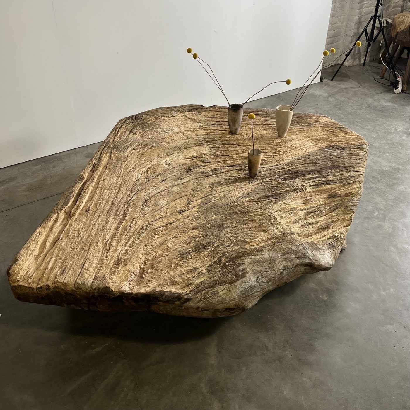 objet-vagabond-primitive-table0003